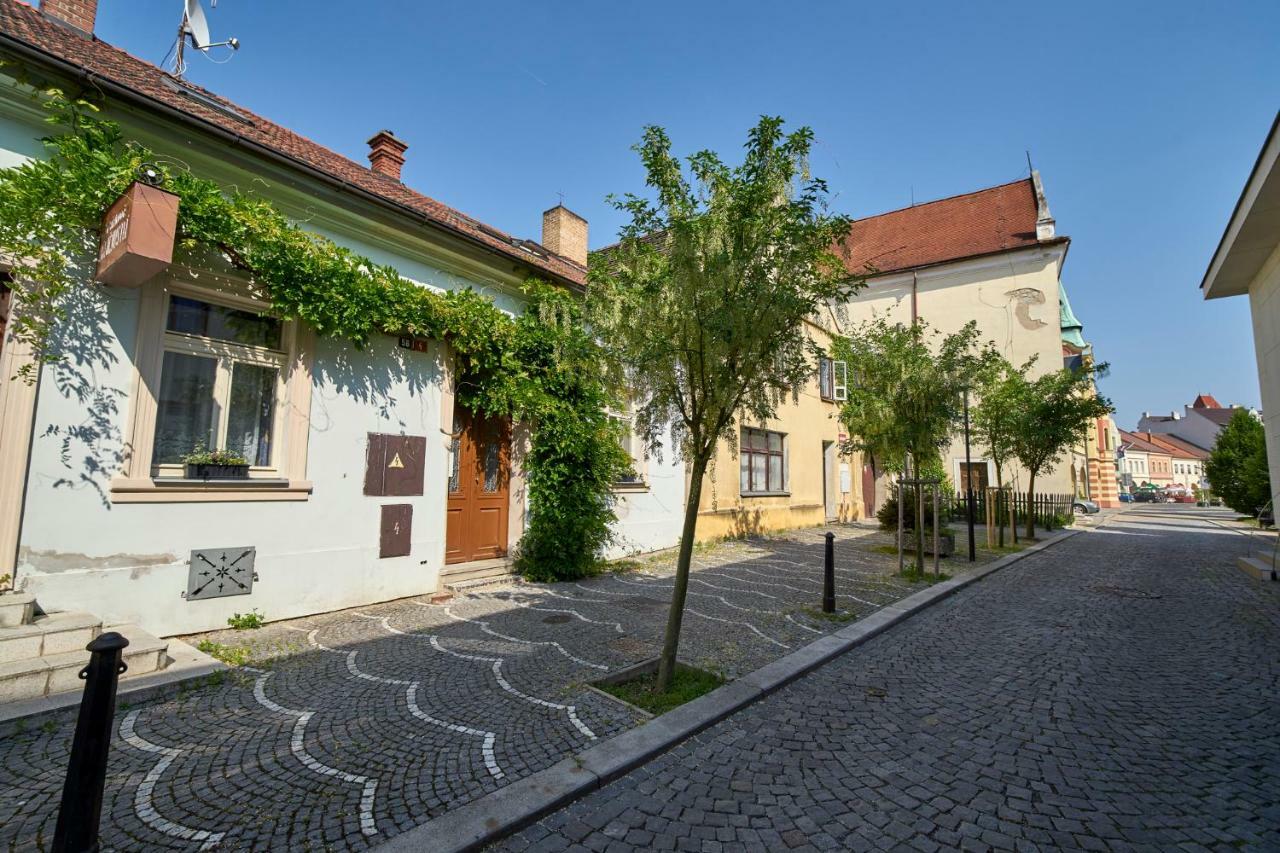 Krejcovstvi Apartment Melnik Exterior photo